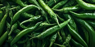 新鲜翠绿的尖椒堆叠