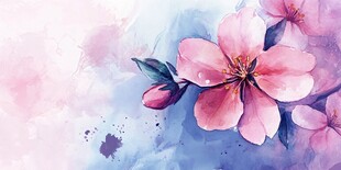 水彩绘就的娇艳粉色花朵
