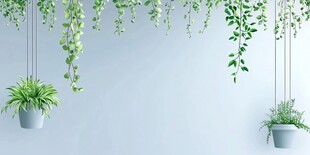 清新悬挂绿植装饰墙面
