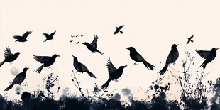 飞鸟剪影 自然灵动之美