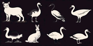多种动物黑白剪影图案