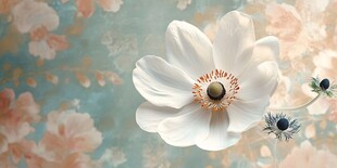 优雅银莲花 梦幻花卉背景