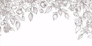 手绘花卉枝叶边框图案