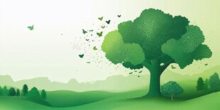 绿意盎然的自然风景画面