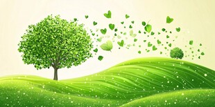 绿意盎然的爱心树景观