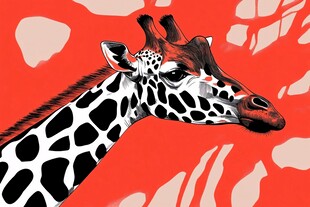 长颈鹿插画 红底黑白斑纹