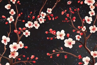 夜空中绽放的美丽樱花