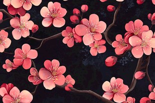 黑色背景上的烂漫粉色桃花