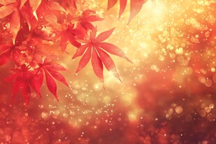 秋日枫叶闪耀梦幻光影