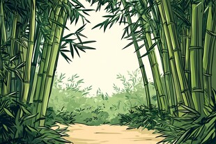 竹林小径 清幽自然之景