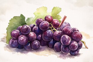 水彩画中的紫葡萄与绿叶