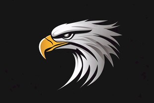 简约鹰头标志设计