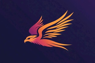 飞翔的火焰之鹰