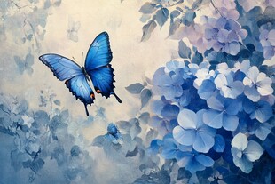 蓝蝶飞舞于绣球花丛中