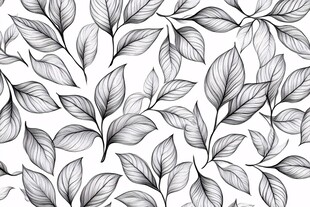 黑白叶纹图案