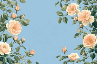 淡粉玫瑰装点的清新背景