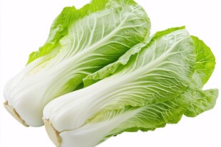 新鲜小白菜 翠绿又饱满