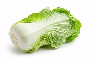 一颗鲜嫩的大白菜