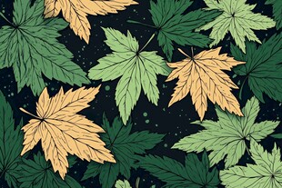 枫叶图案背景设计素材