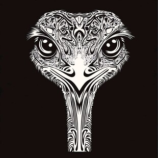 黑白鸵鸟头图腾风格插画