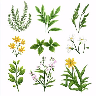 手绘清新花草植物集合