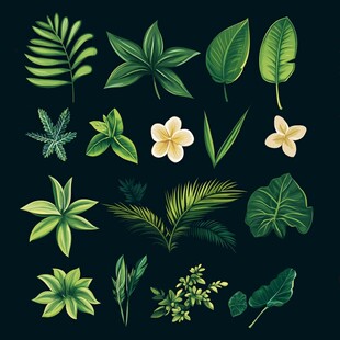 热带植物叶片与花朵插画集