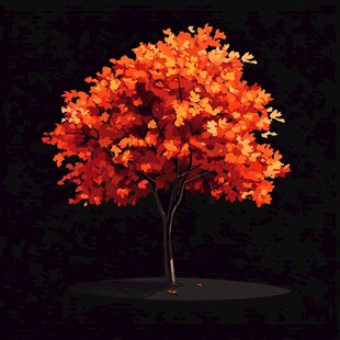 秋日红枫 绚烂树影