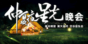 仲夏夜晚会宣传海报