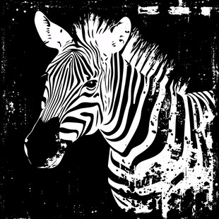 黑白斑马头像艺术插画