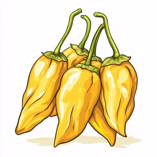 黄辣椒插画