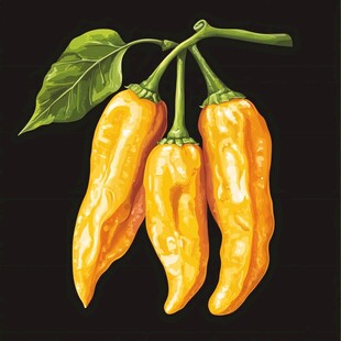 黄辣椒插画 鲜活田园风味