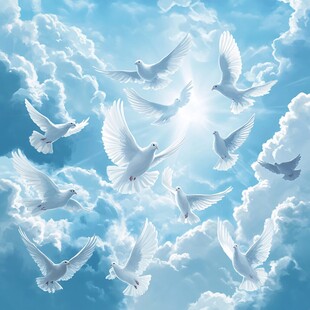 白鸽翱翔于蓝天云朵间
