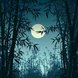 月夜竹林剪影
