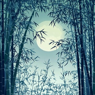 月夜竹林 静谧诗意之景