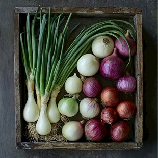 木盒中的多彩洋葱与青葱
