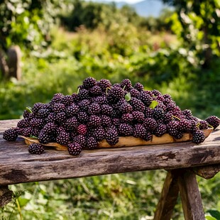 木桌上的新鲜饱满桑葚