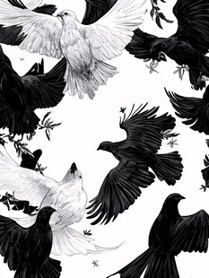 黑白飞鸟图案 优雅且神秘