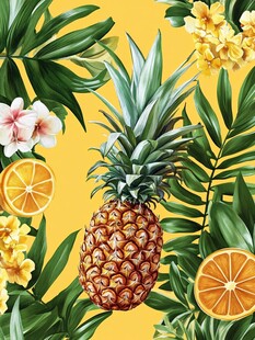 菠萝花卉热带风情插画