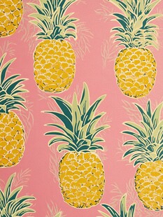粉色背景菠萝图案纹理