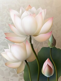 水墨风优雅盛开的白莲花