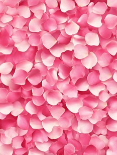浪漫粉色玫瑰花瓣背景