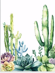 水彩风仙人掌与多肉植物