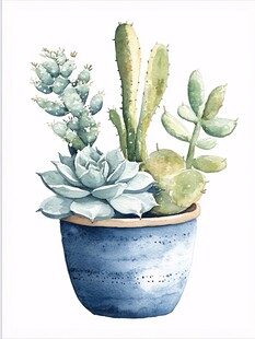 水彩风多肉仙人掌盆栽图