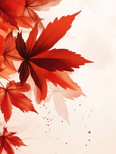 秋日红枫叶 唯美诗意画面