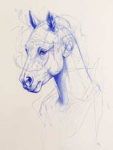 蓝线勾勒的马头素描