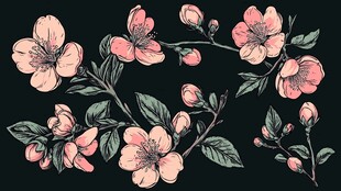 手绘粉色花卉枝叶图案