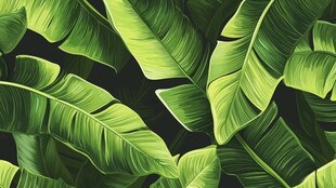 热带芭蕉叶背景图案