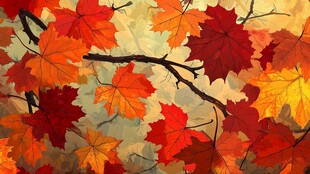 秋日斑斓枫叶枝头绽放