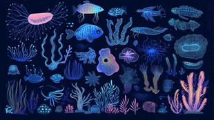 梦幻海底生物插画
