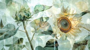 梦幻水彩向日葵与绿叶